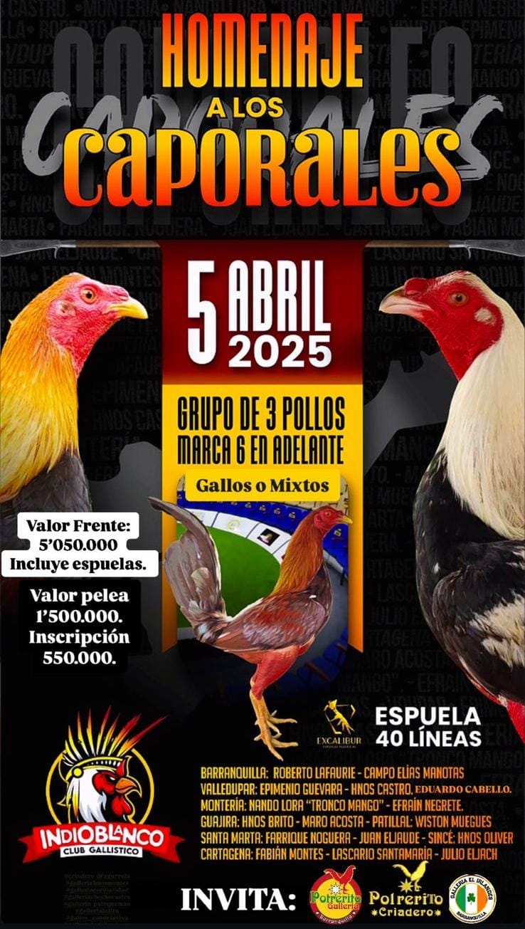 WhatsApp Image 2025-03-04 at 22.19.16